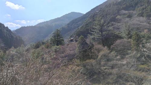 大野城の写真