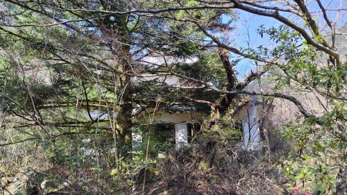 大野城の写真