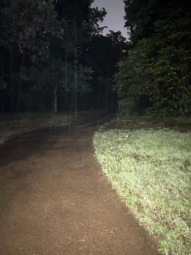 八千代小鳥の森公園の画像