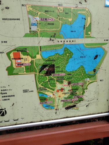 紫金山公園の画像