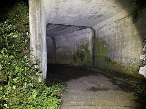 流谷林道ループトンネル(のの字トンネル)の写真