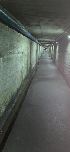 土井西地下道(野田の地下道)の写真