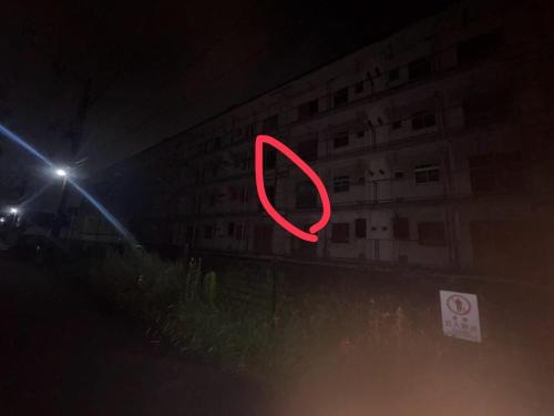 市川市河原の写真