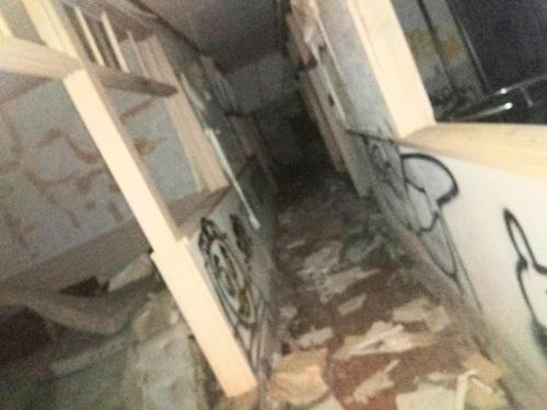 ダイアナ研究所の写真