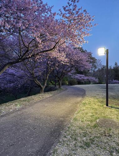 臼井城址公園