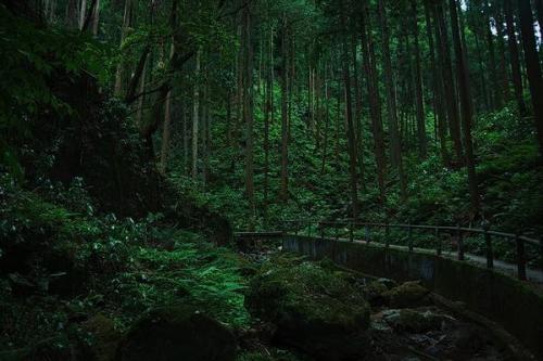 宿谷の滝の写真