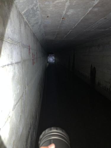 大蓮公園の写真