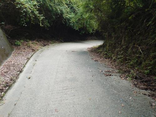 三間線八號隧道の画像