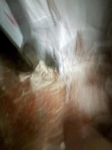野島苑の写真