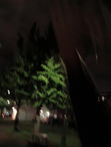 オンコ公園の画像