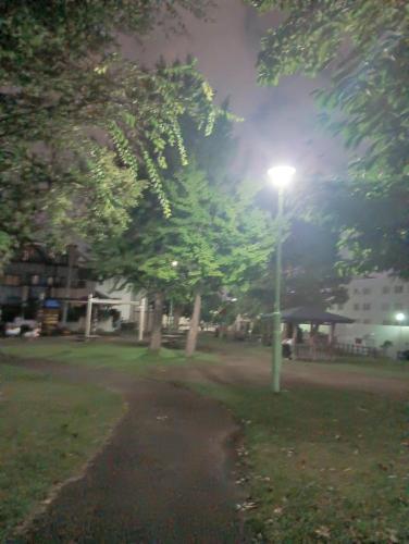オンコ公園の画像