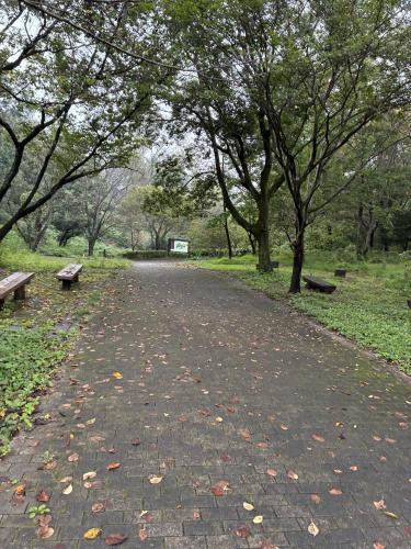 尾根緑道の写真