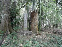 滋賀県近江八幡市の心霊スポット「シガイの森（新開の森）」
