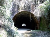 【埼玉県】畑トンネル