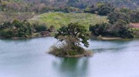 鳥取県鳥取市の心霊スポット「多鯰ヶ池」
