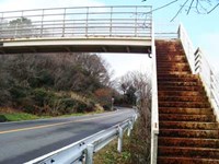 静岡県静岡市の心霊スポット「日本平パークウェイの歩道橋」
