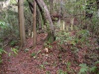 宮崎県宮崎市の心霊スポット「堀切峠」