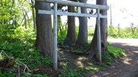 青森県青森市の心霊スポット「杉沢村」