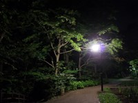 秋田県秋田市の心霊スポット「千秋公園」