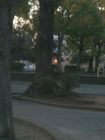 埼玉県さいたま市の心霊スポット「松原公園」