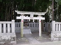 千葉県市川市の心霊スポット「八幡の藪知らず」