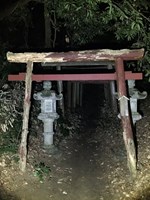 千葉県香取市の心霊スポット「コンコン神社　（下飯田稲荷）」