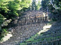 東京都稲城市の心霊スポット「ありがた山」