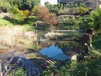 神奈川県川崎市の心霊スポット「さとしちゃん像（緑ヶ丘霊園）」