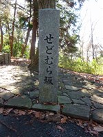 神奈川県相模原市の心霊スポット「せどむら坂」