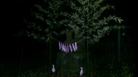 【埼玉県】桜木神社