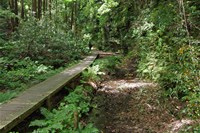 神奈川県鎌倉市の心霊スポット「散在ガ池森林公園(鎌倉湖)」