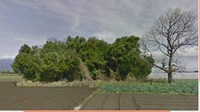 鹿児島県鹿屋市の心霊スポット「鹿屋市横山町切小田の墓地の近くの雑木林」