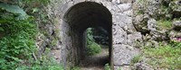 沖縄県那覇市の心霊スポット「末吉公園」