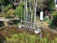 愛知県美浜町の心霊スポット「血の池」