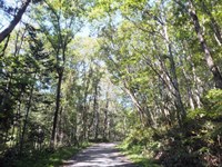 北海道鷹栖町の心霊スポット「嵐山展望台」