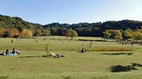 千葉県松戸市の心霊スポット「21世紀の森と広場」