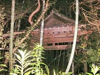 千葉県佐倉市の心霊スポット「佐倉の幽霊屋敷（ユーカリ惨殺屋敷）」