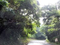 神奈川県秦野市の心霊スポット「黄泉の森」
