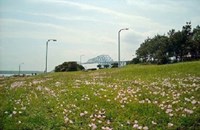 東京都江東区の心霊スポット「若洲海浜公園」