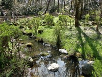 【新潟県】じゅんさい池公園