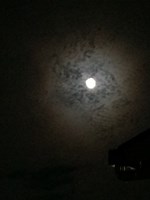 【兵庫県】ホテル好楽園