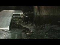 北海道苫小牧市の心霊スポット「口無沼」