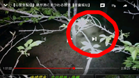 千葉県佐倉市の心霊スポット「佐倉城址公園」
