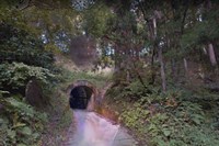 【新潟県】柳澤隧道