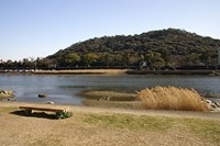 高知県高知市の心霊スポット「筆山公園」