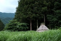 岩手県遠野市の心霊スポット「デンデラ野」