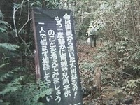 【山梨県】青木ヶ原樹海