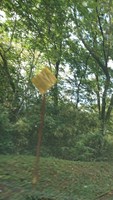 埼玉県嵐山町の心霊スポット「将軍澤のカーブ」