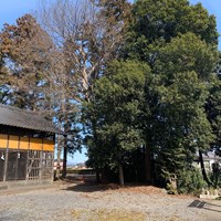 埼玉県深谷市の心霊スポット「八幡神社」