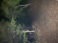 東京都日野市の心霊スポット「高幡城跡」